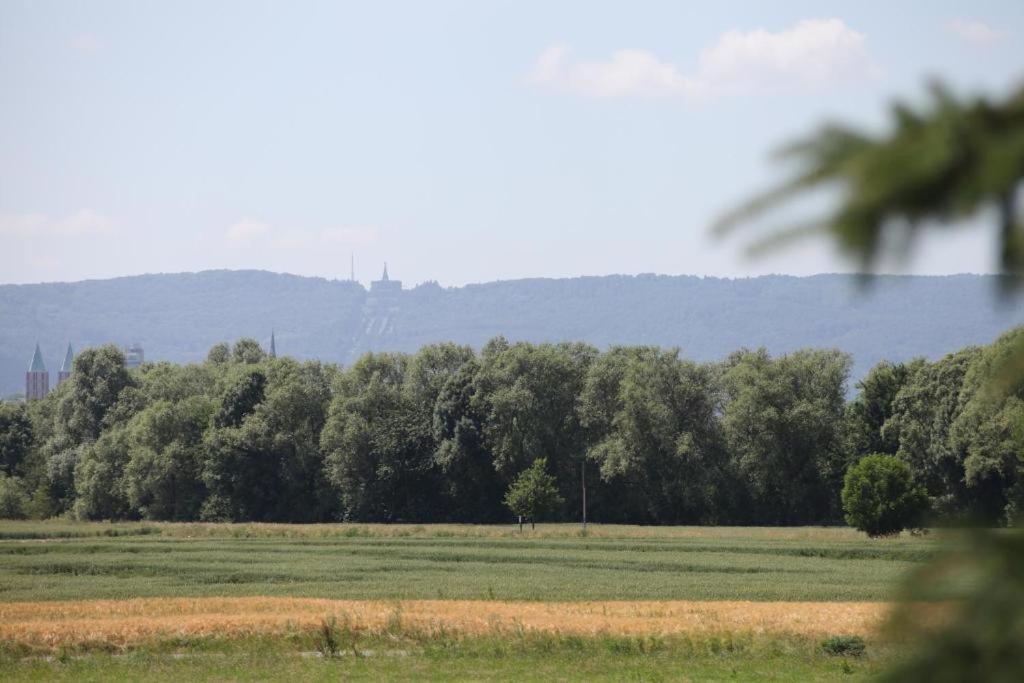 Art City Studio Kassel 5公寓 外观 照片